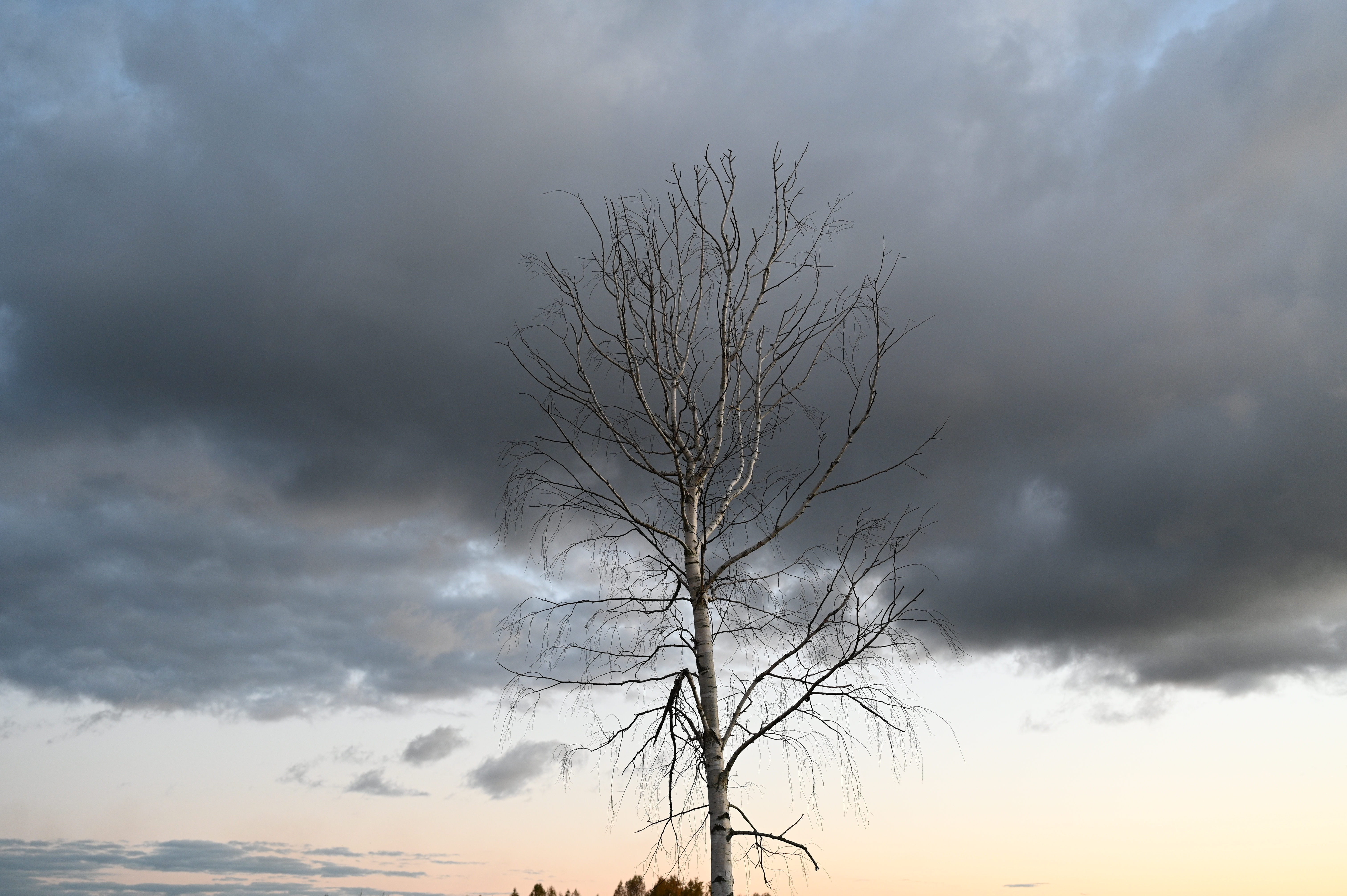 2025/10/18 - walk/DSC_0576.JPG